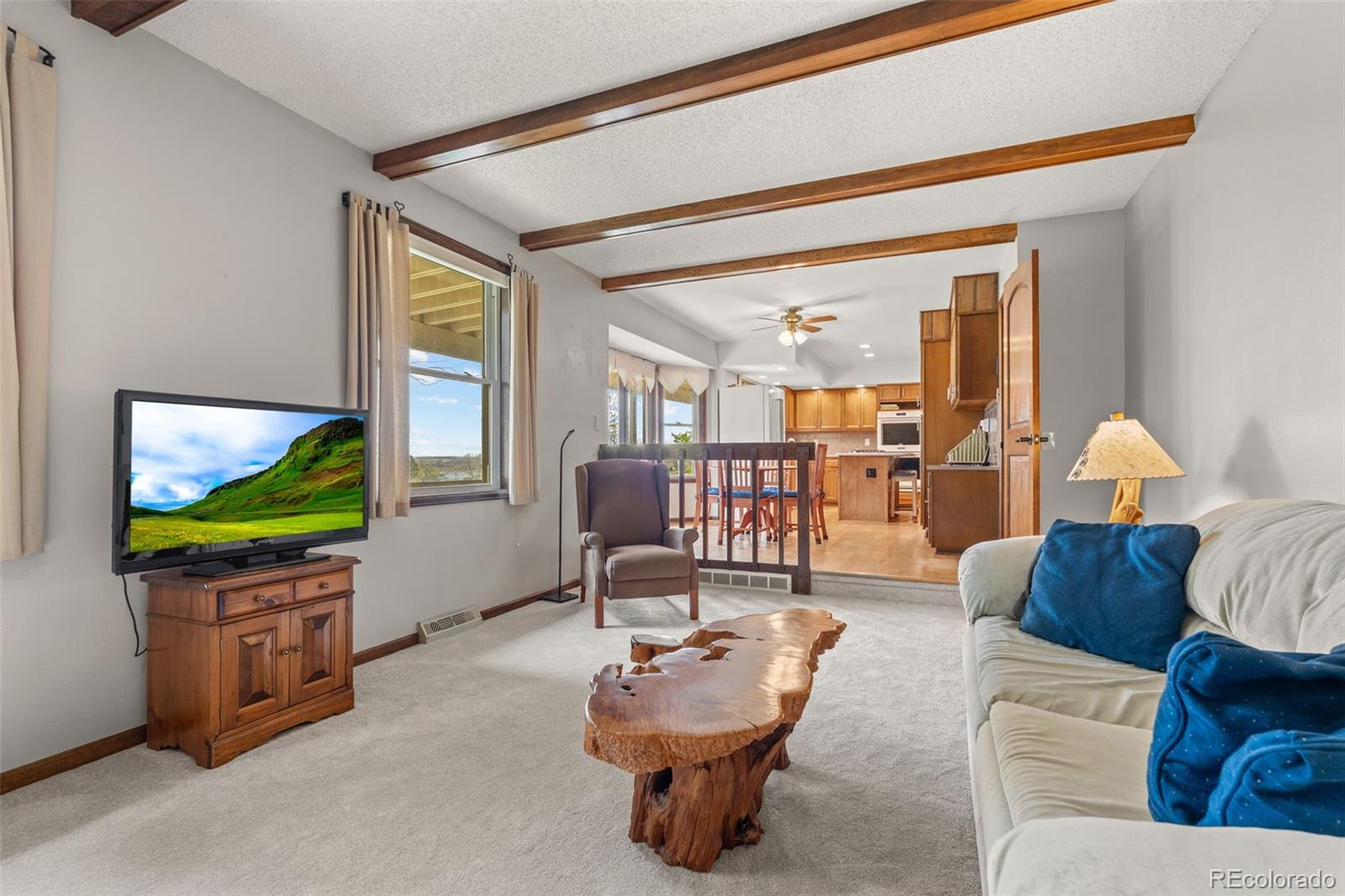 5951 Thunderhill Road Parker, CO 80134 - Photo 14 of 50