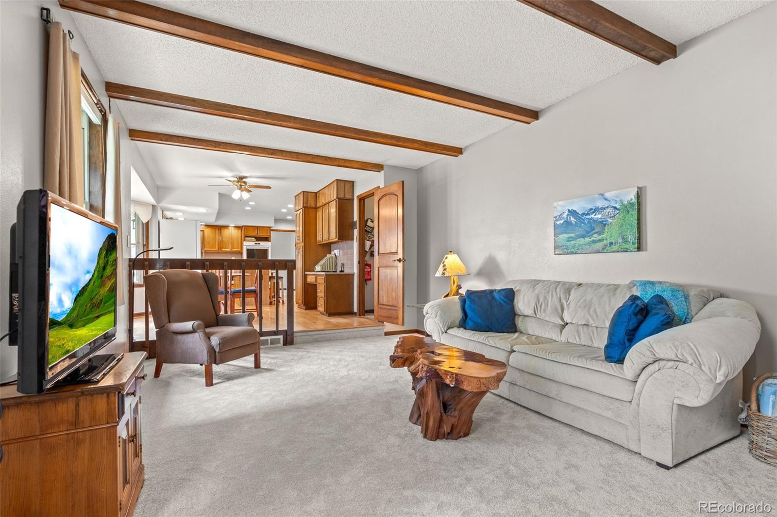 5951 Thunderhill Road Parker, CO 80134 - Photo 15 of 50
