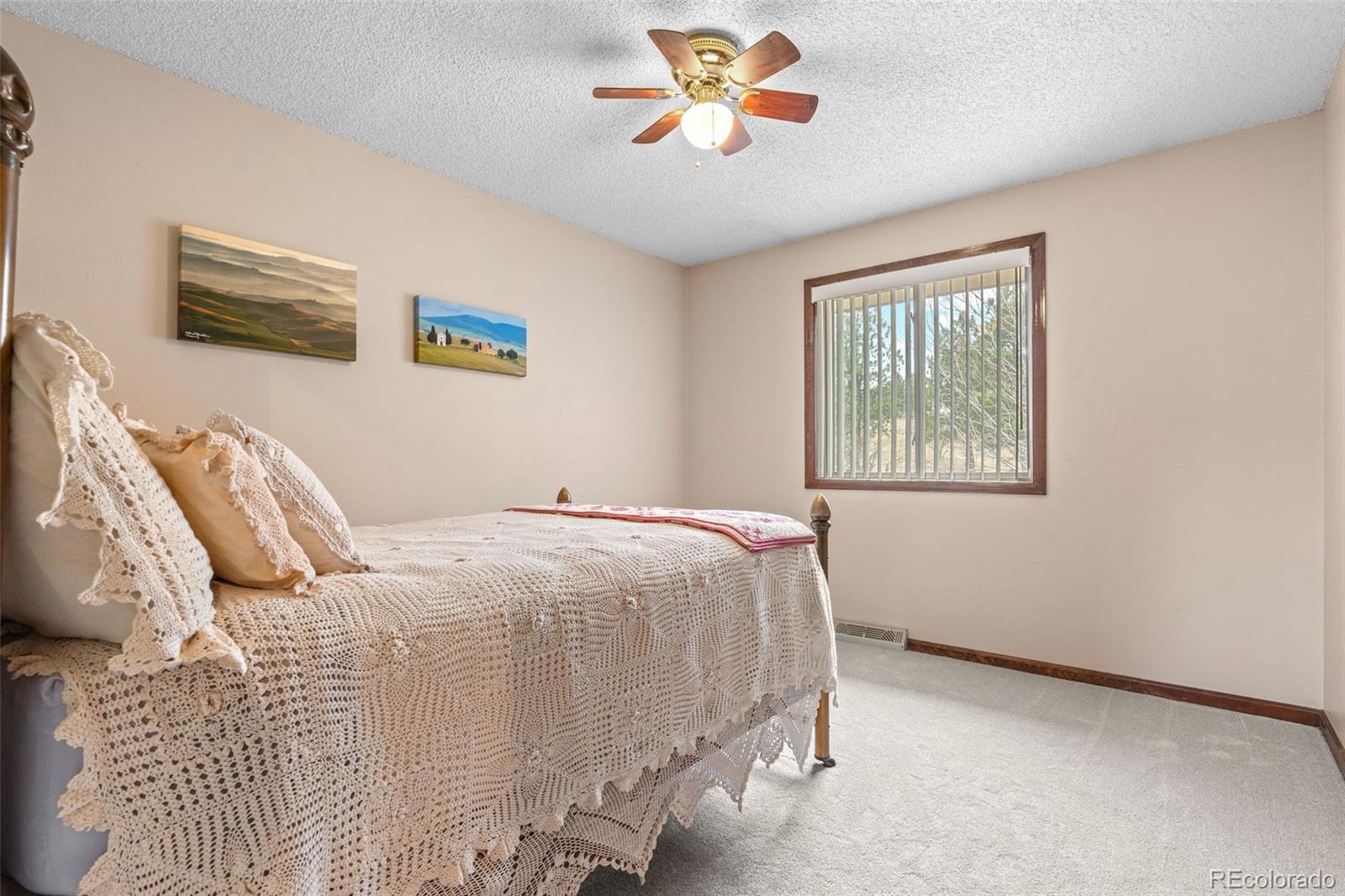 5951 Thunderhill Road Parker, CO 80134 - Photo 34 of 50