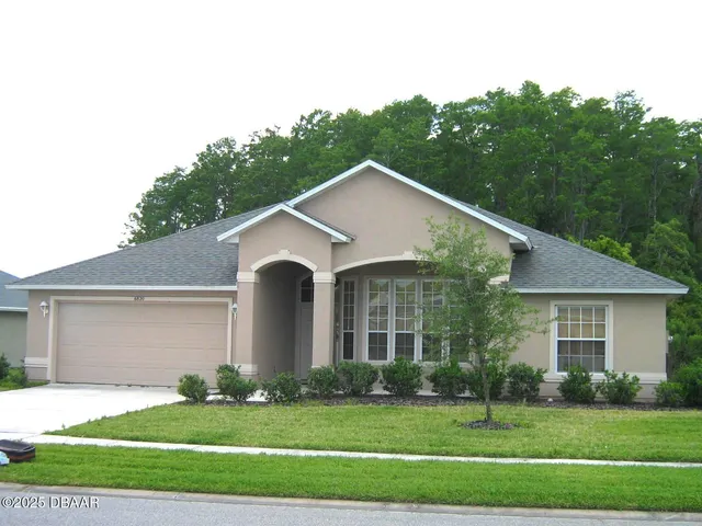 a view of a yard in front of a house with plants and large tree