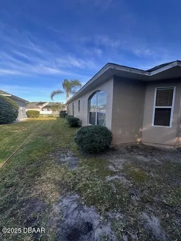 a view of a park with a tree