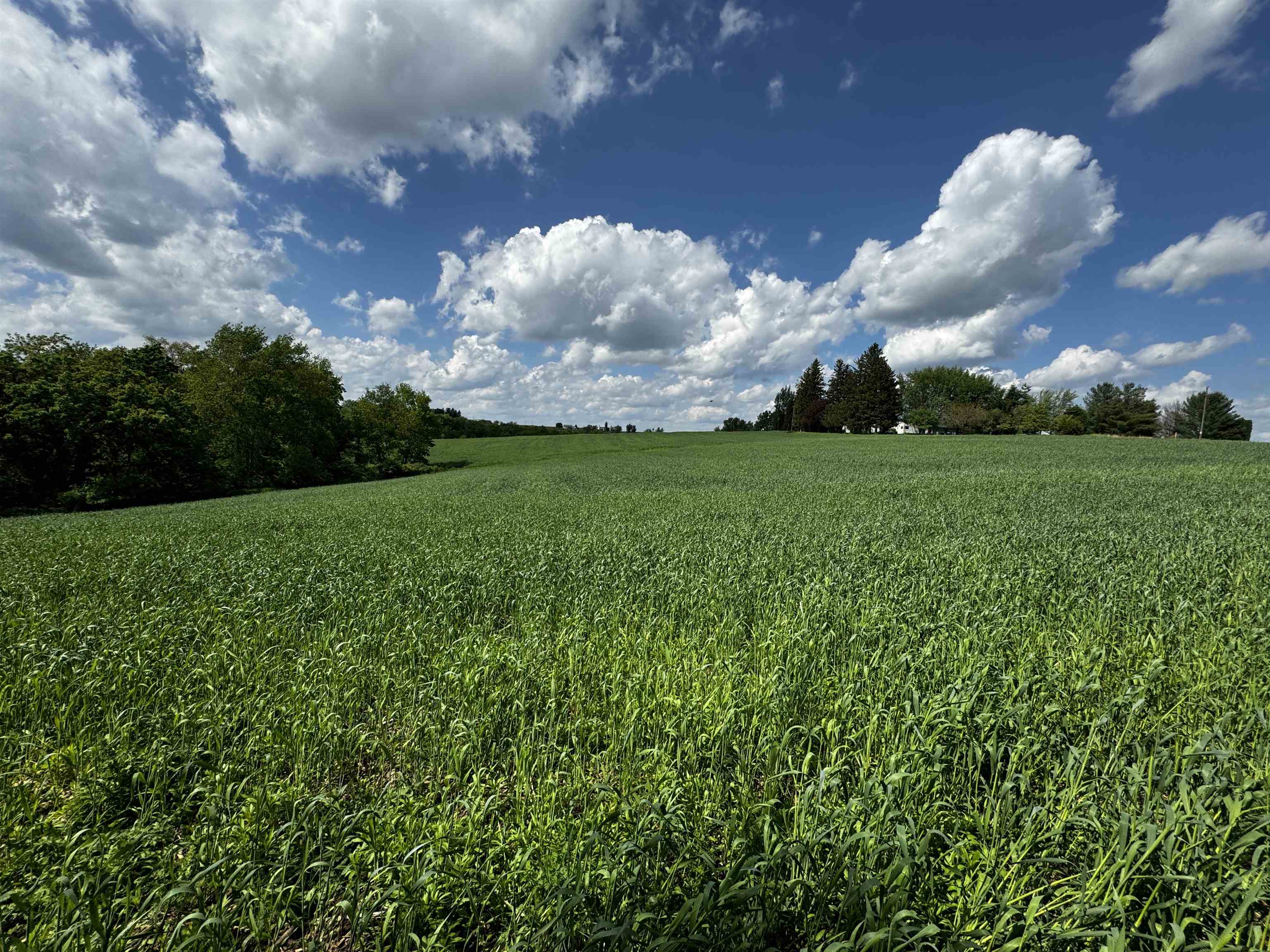 14432 Uglum Road Ferryville, WI 54628 - Photo 1 of 1