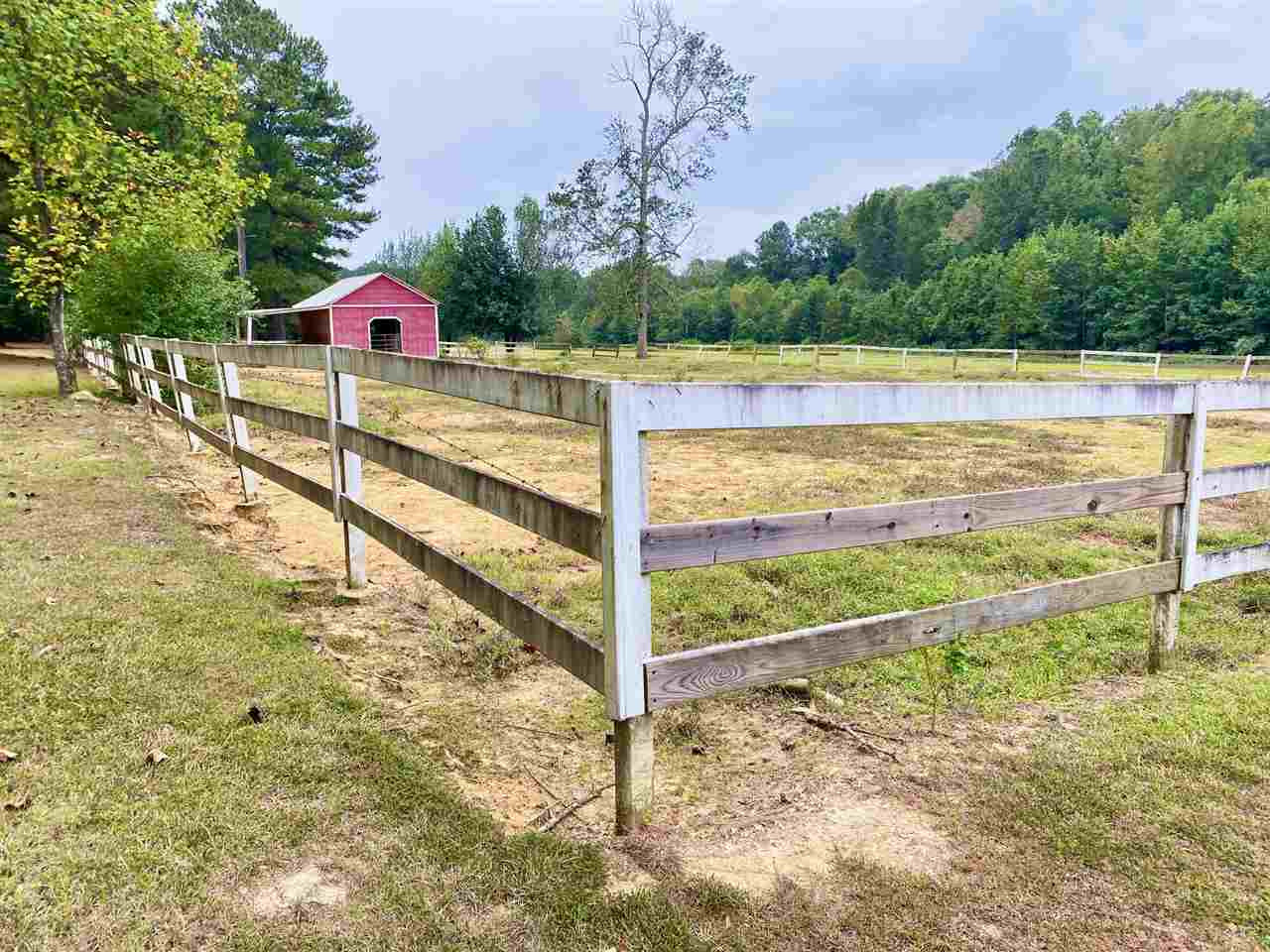 120 Pollard Road Carthage, MS 39051 - Photo 3 of 26 Photo 3