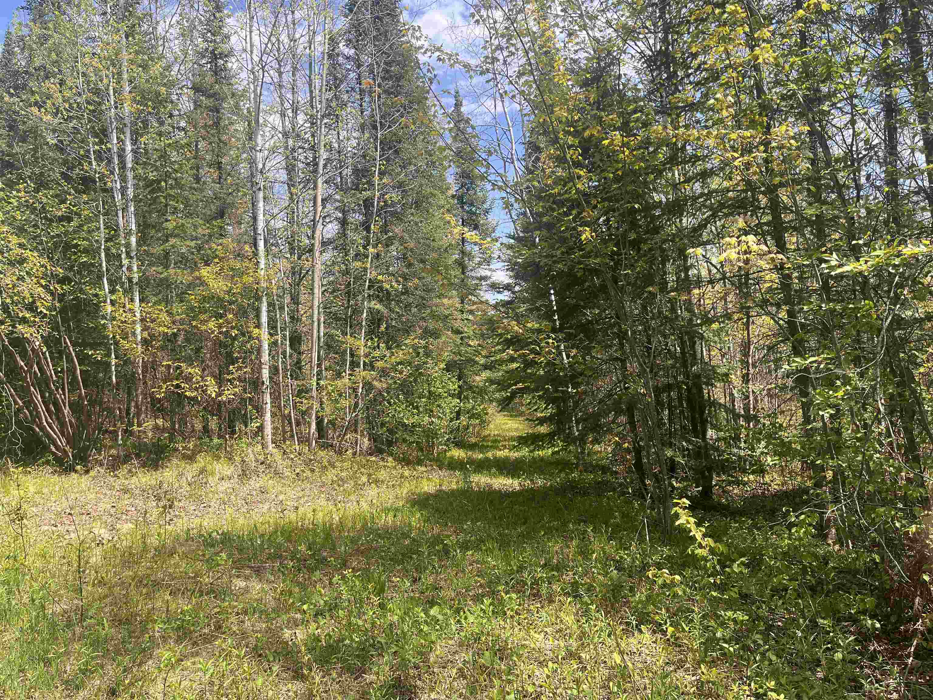 80-acres 80-acres Clausen Road Prentice, WI 54556 - Photo 3 of 17