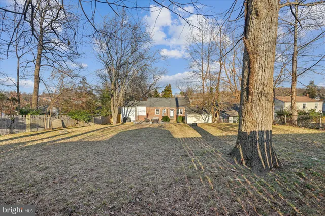 a view of yard with trees