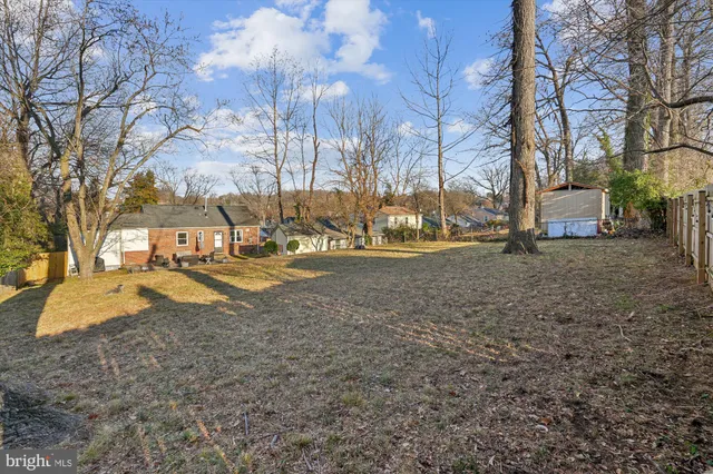 a view of street with large trees