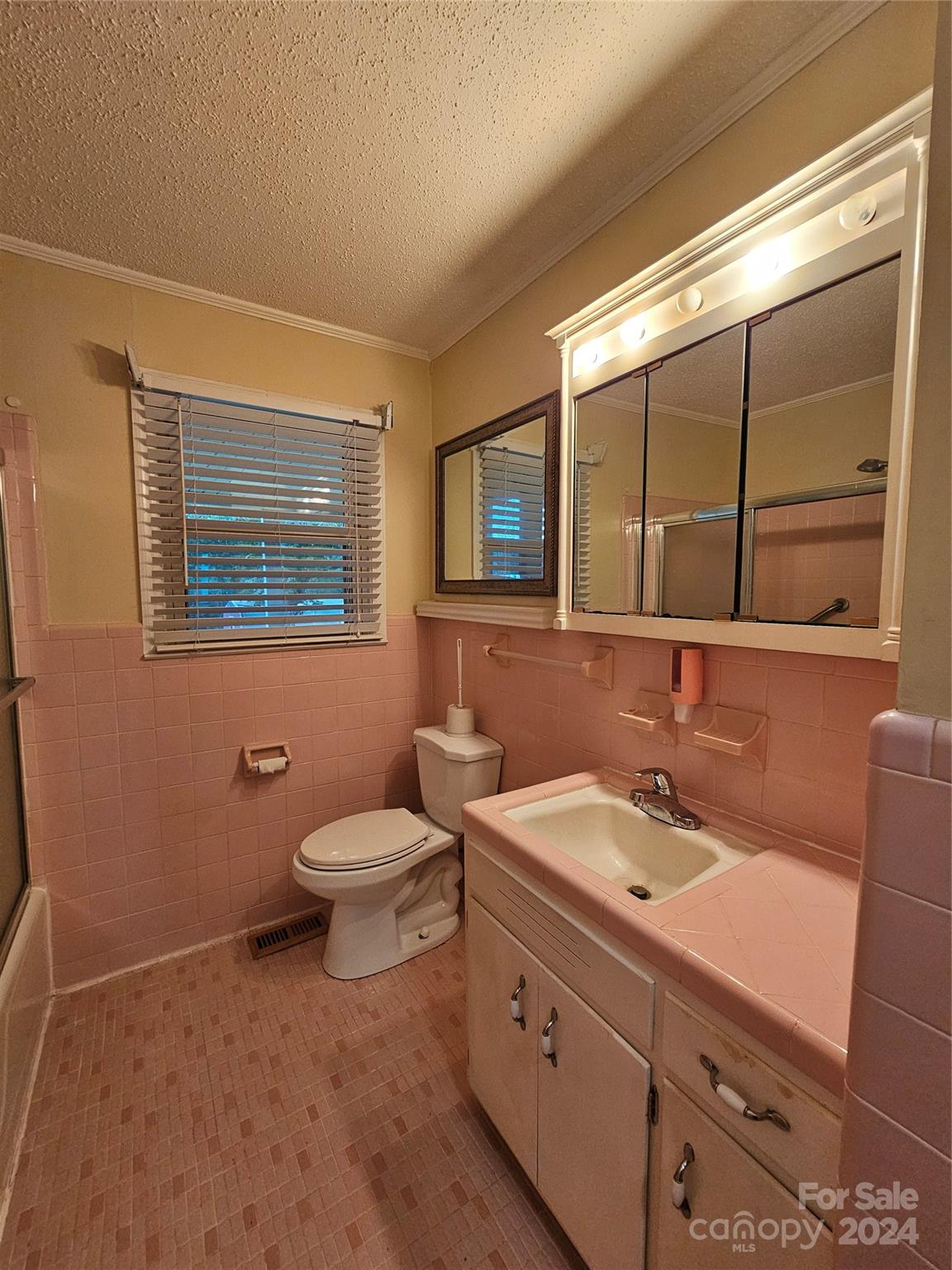 1784 Deaton Drive Lancaster, SC 29720 - Photo 12 of 19 a bathroom with a sink mirror and toilet