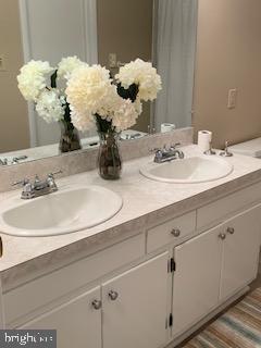 102 Bunker Hill Road New Cumberland, PA 17070 - Photo 12 of 23 a bathroom with a sink a mirror and a vase of flowers
