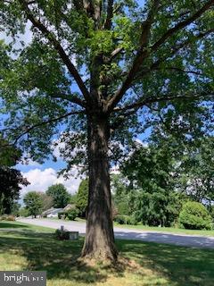 102 Bunker Hill Road New Cumberland, PA 17070 - Photo 21 of 23 a view of a tree in a yard