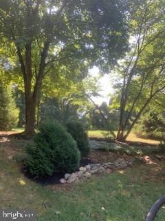 102 Bunker Hill Road New Cumberland, PA 17070 - Photo 22 of 23 a view of an outdoor space and yard
