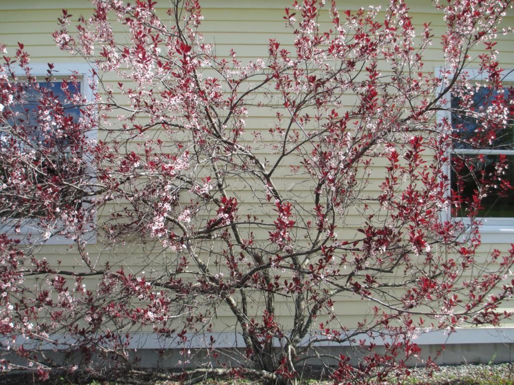42 Black Brook Road Gorham, ME 04038 - Photo 22 of 22 Photo
