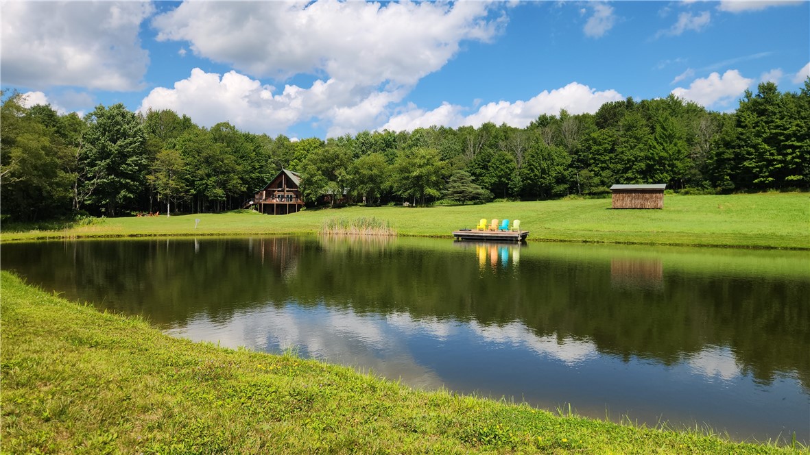 351 Clancy Road Greenwood, NY 14806 - Photo 8 of 50 Gallery Image 8