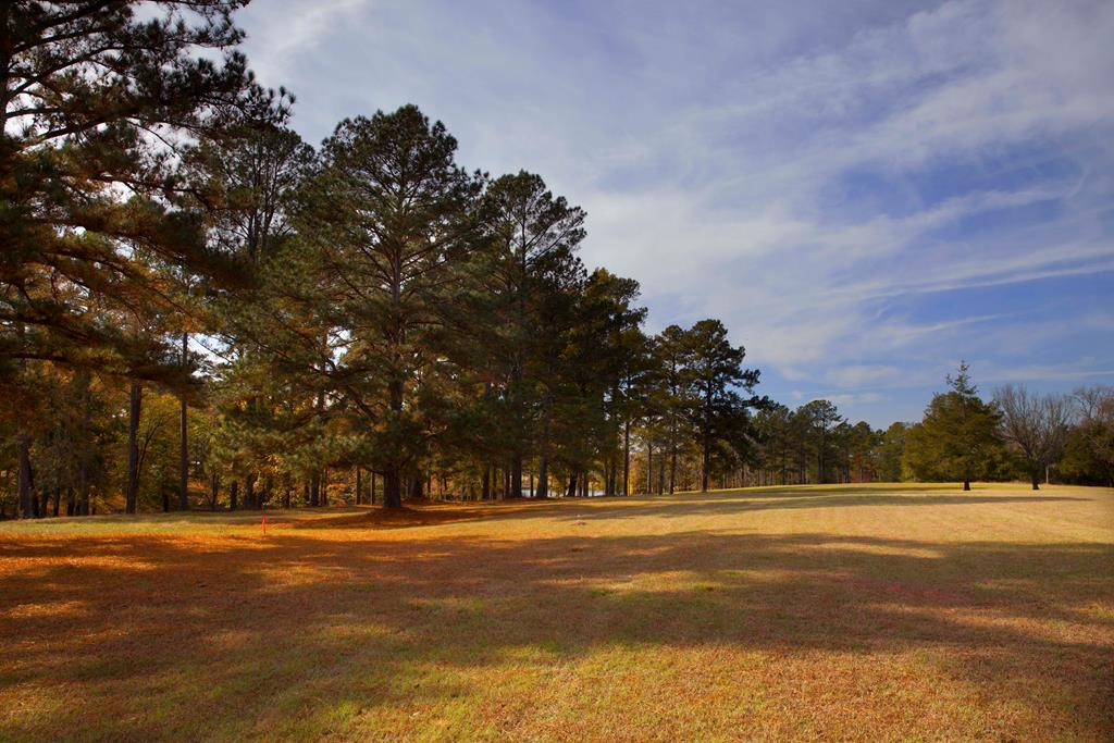 Lot 3 Louisville Road Appling, GA 30802 - Photo 1 of 6 Main View