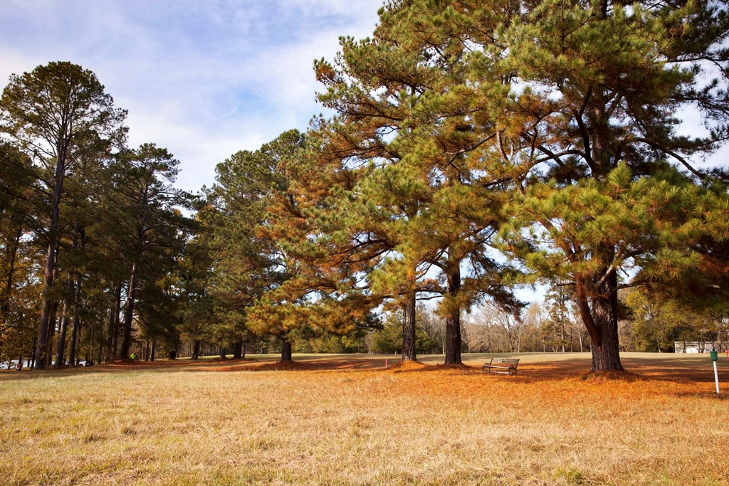 Lot 3 Louisville Road Appling, GA 30802 - Photo 3 of 6