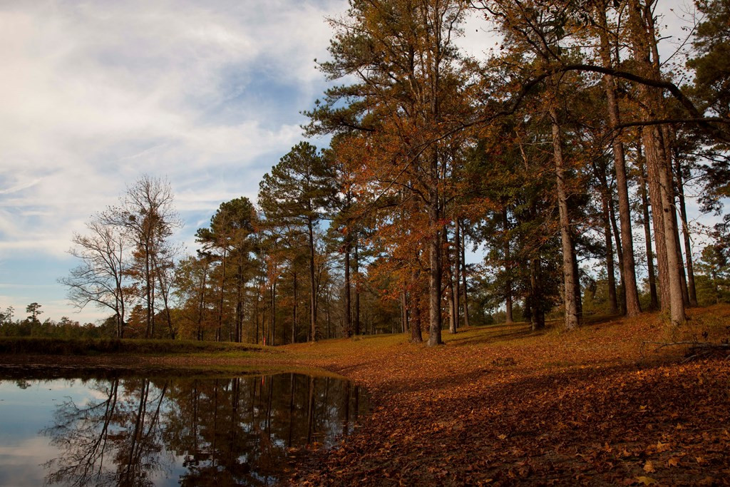 Lot 3 Louisville Road Appling, GA 30802 - Photo 6 of 6