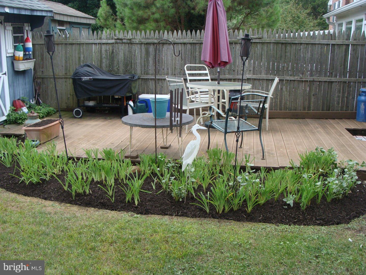 110 Bridge Road Ridley Park, PA 19078 - Photo 20 of 23 Back Yard