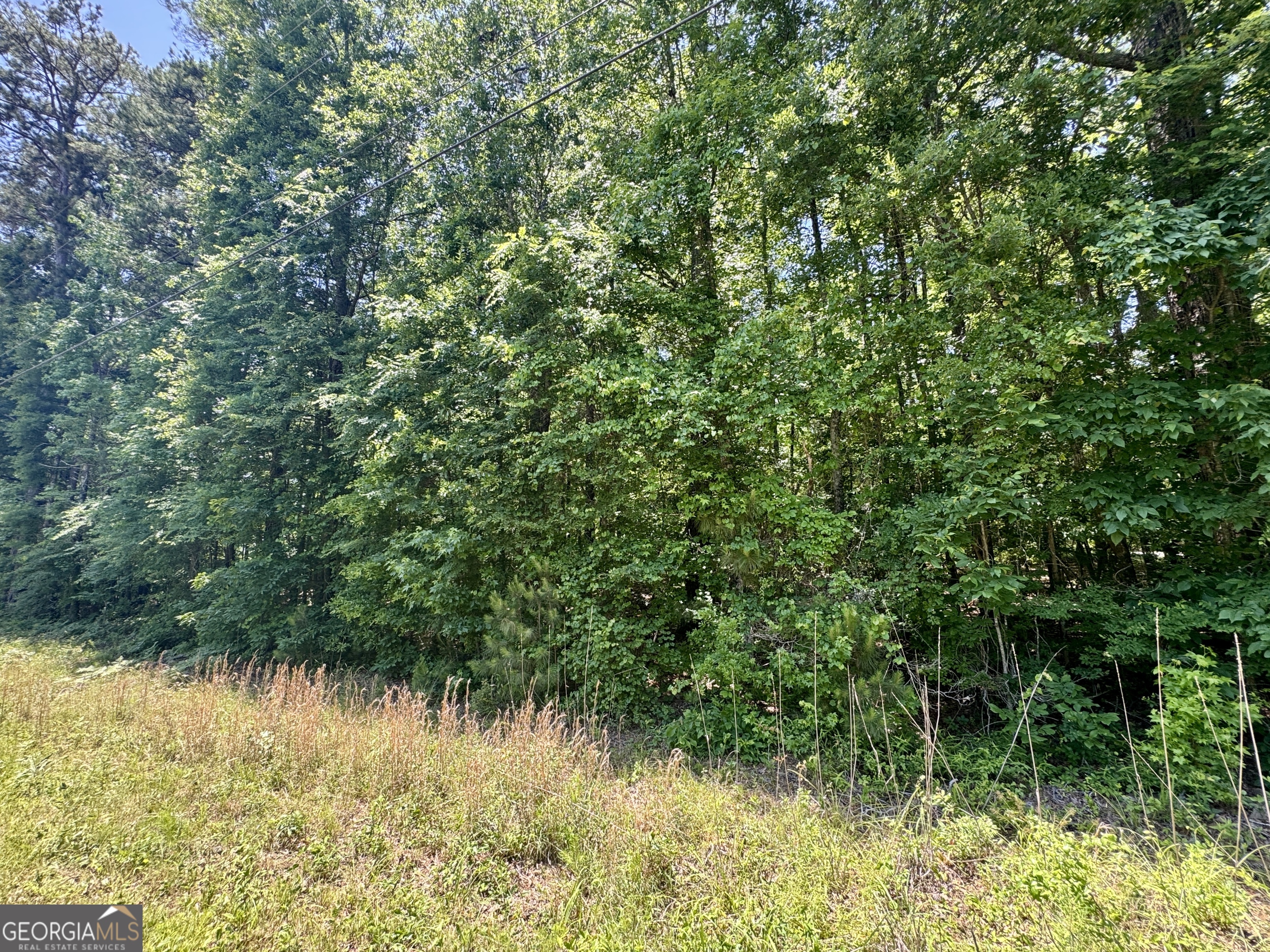 0 Camelot Road Gray, GA 31032 - Photo 1 of 1 a view of a lake from a forest