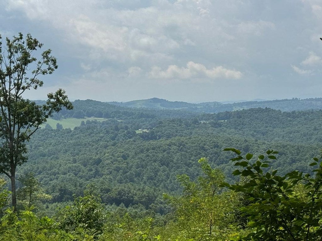 450 High Point Road Woodlawn, VA 24381 - Photo 15 of 55 Gallery Image 15