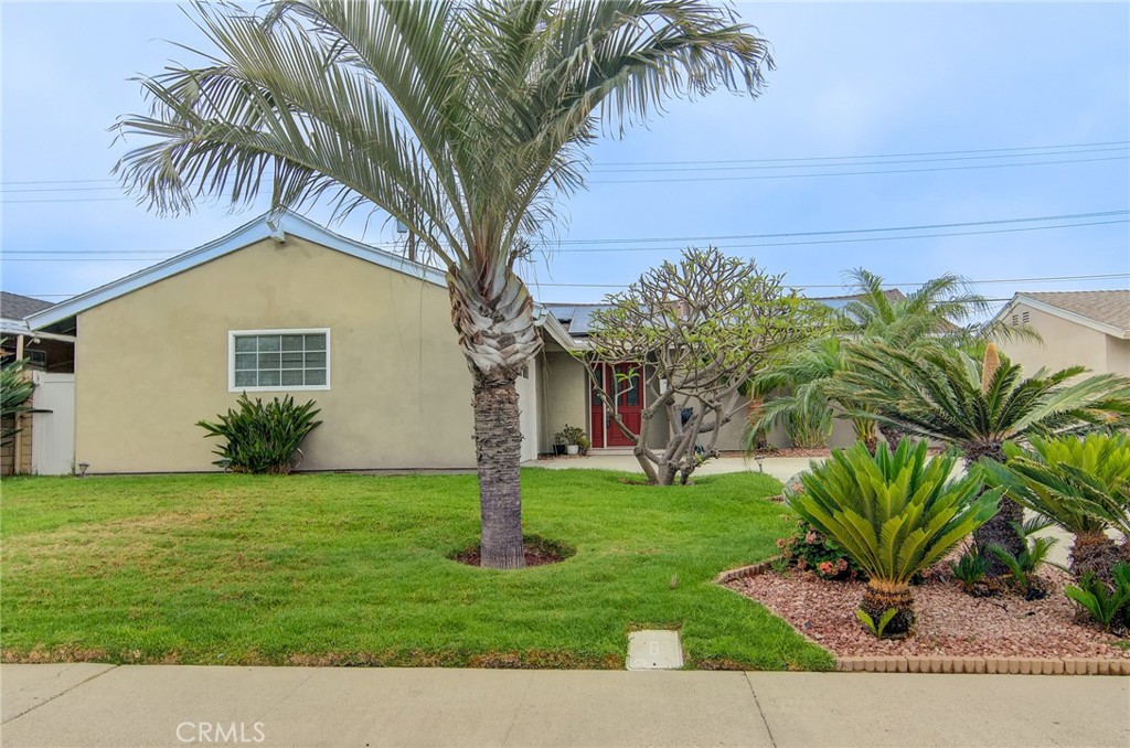4541 Myra Avenue Cypress, CA 90630 - Photo 10 of 42 a palm tree sitting in front of a house with a big yard