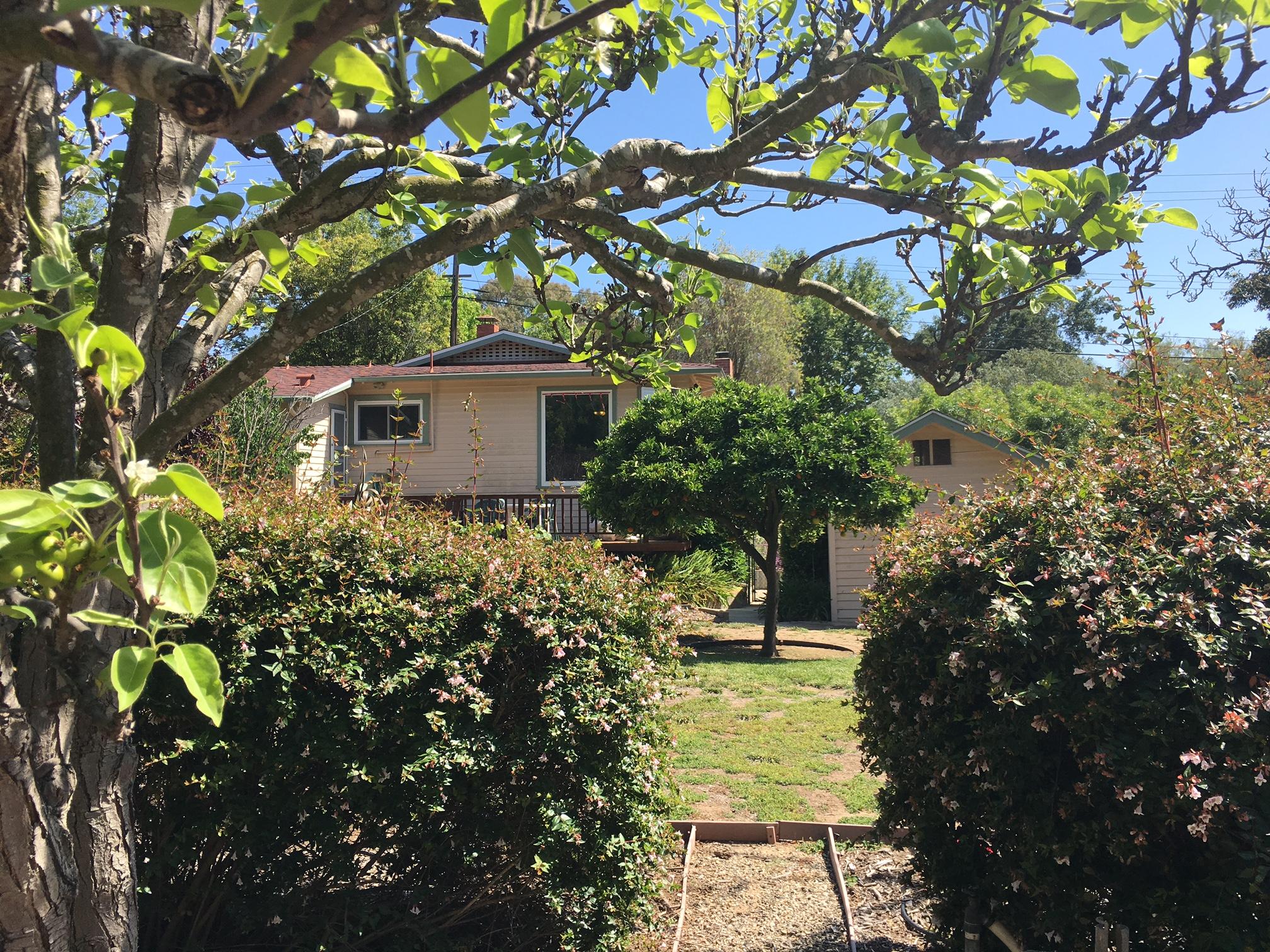 3878 Sunset Road Santa Barbara, CA 93110 - Photo 3 of 9 a view of a tree with a tree