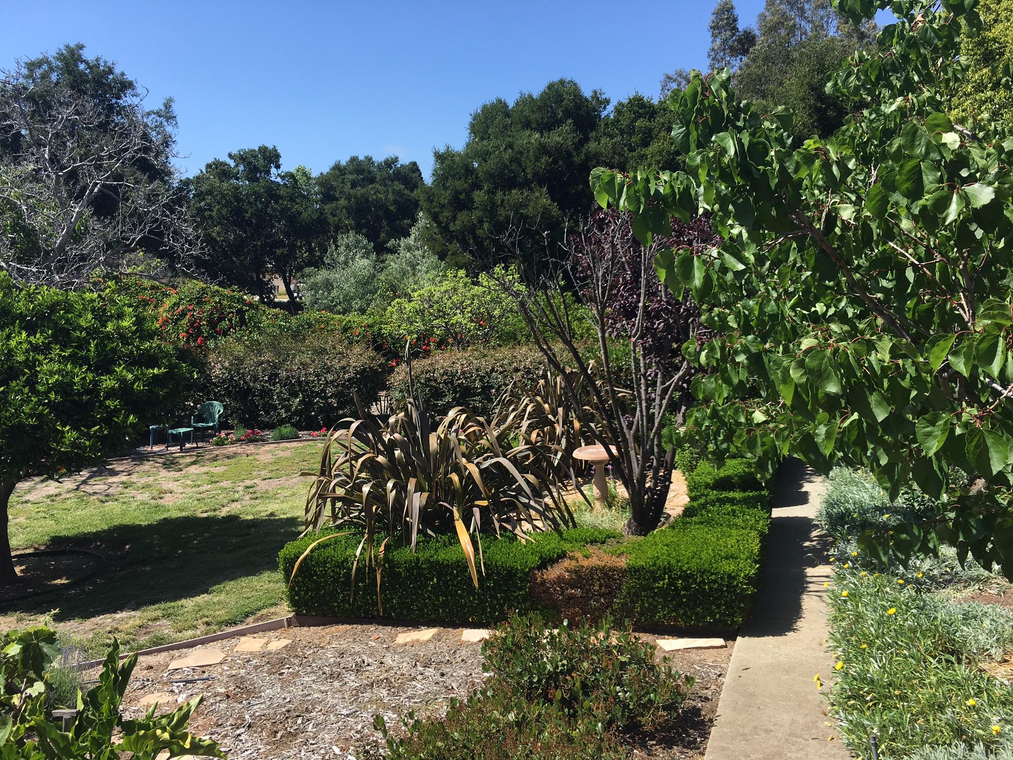 3878 Sunset Road Santa Barbara, CA 93110 - Photo 8 of 9 a view of a yard