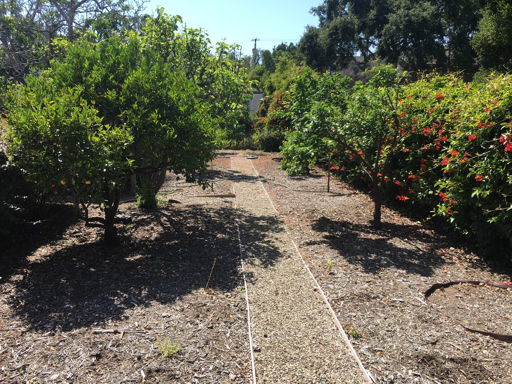 3878 Sunset Road Santa Barbara, CA 93110 - Photo 9 of 9 a view of a yard with plants and trees