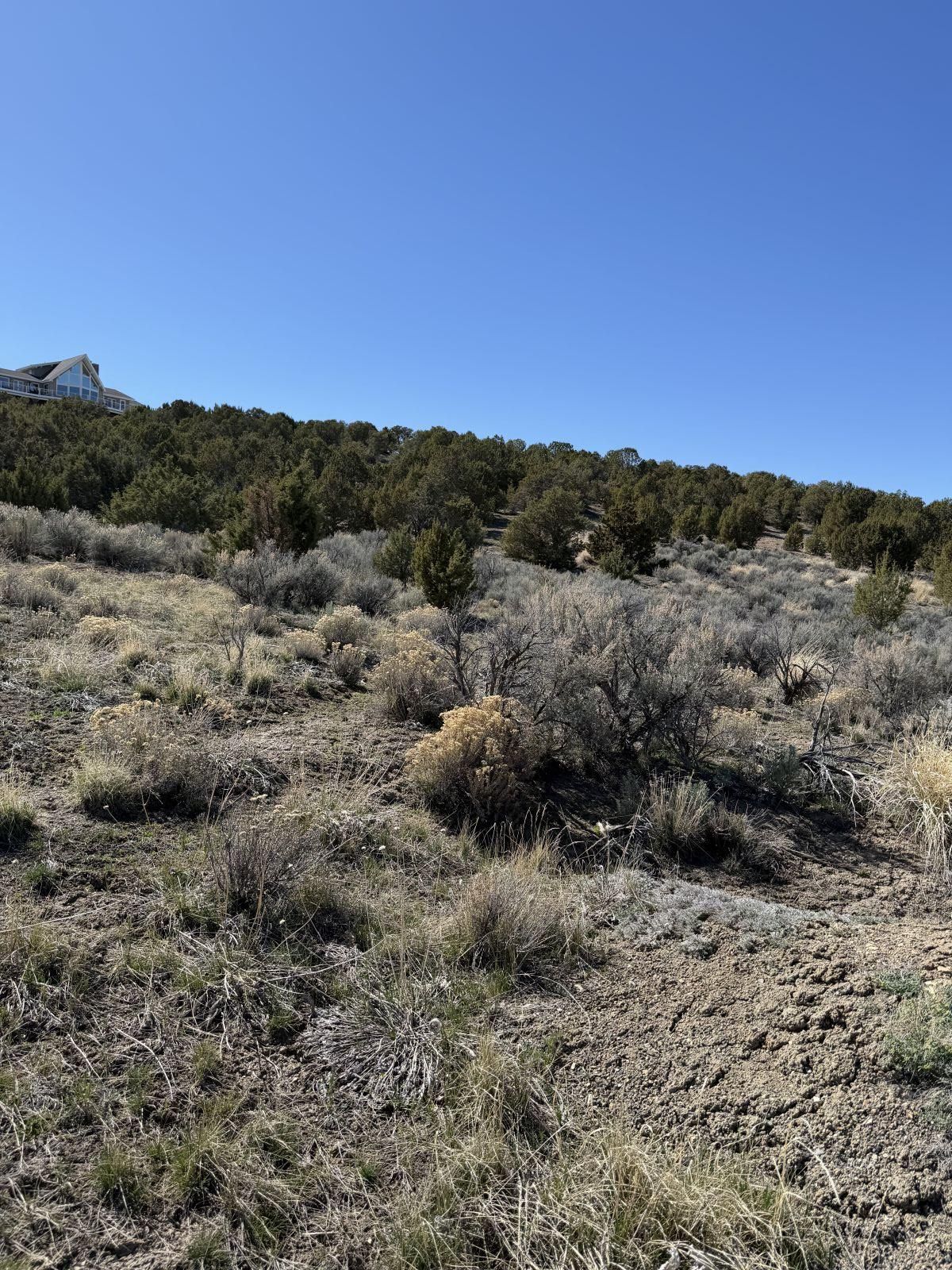 Andy's Way Elko, NV 89801 - Photo 11 of 16