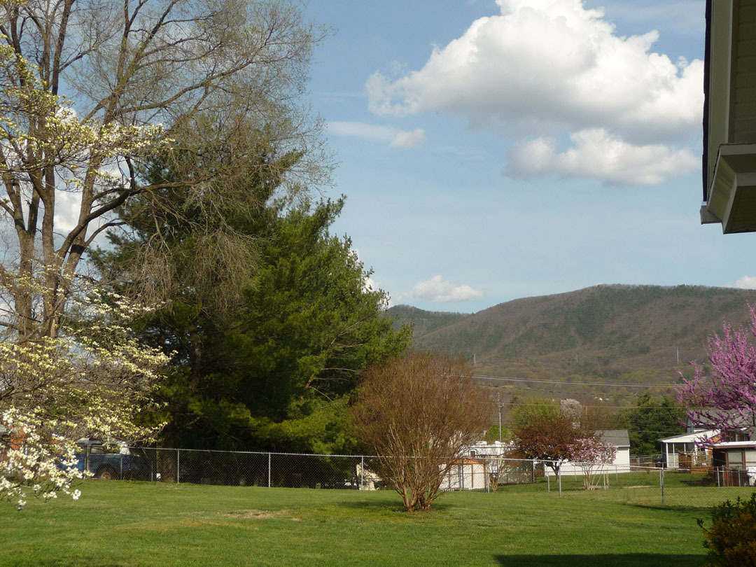 608 Water Oak Road Roanoke, VA 24019 - Photo 49 of 52 Yard