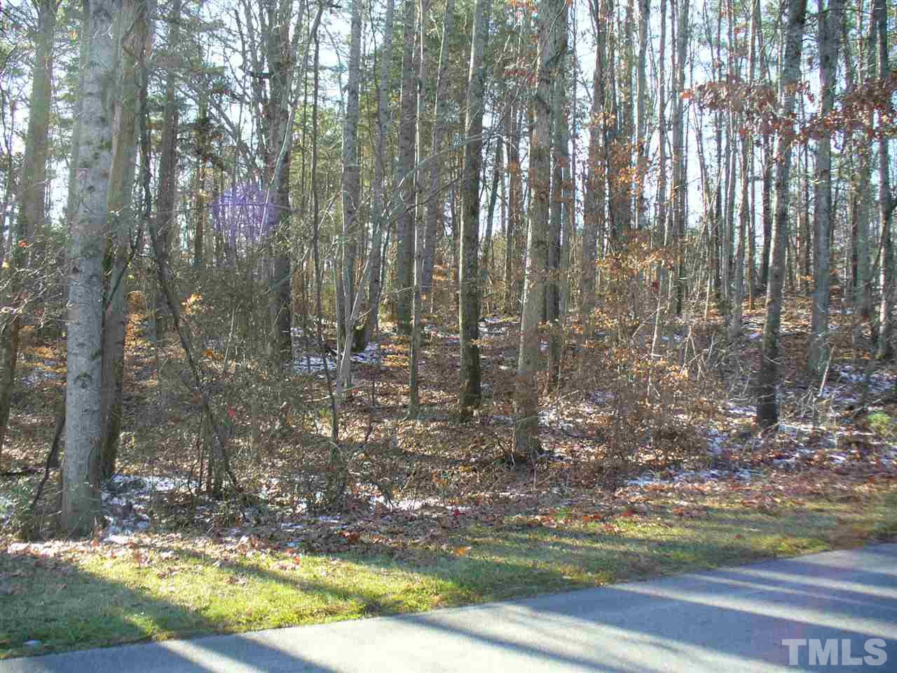 0 Lucy Garrett Road Timberlake, NC 27583 - Photo 1 of 2