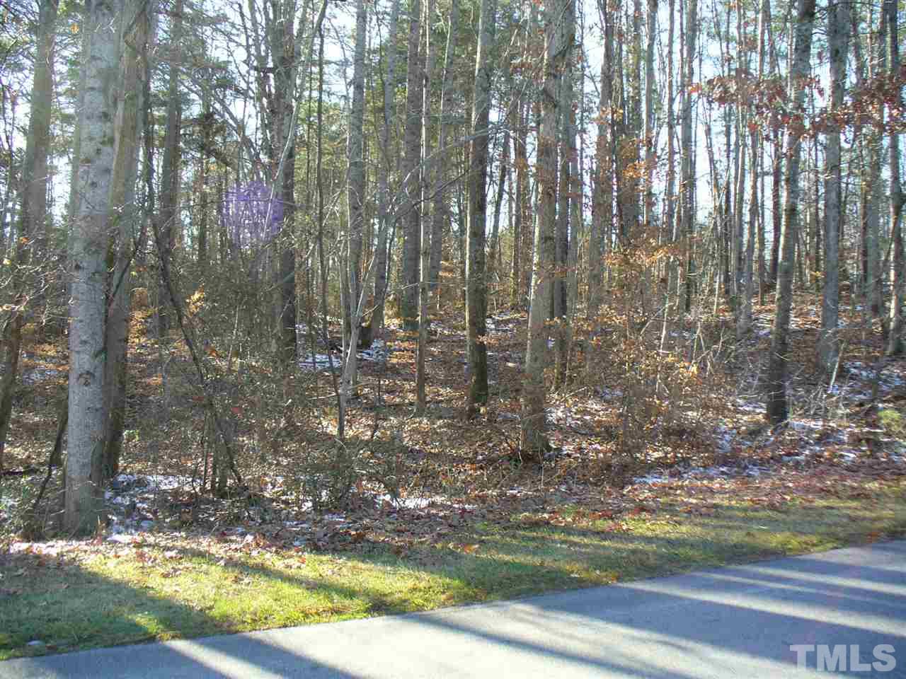 0 Lucy Garrett Road Timberlake, NC 27583 - Photo 2 of 2