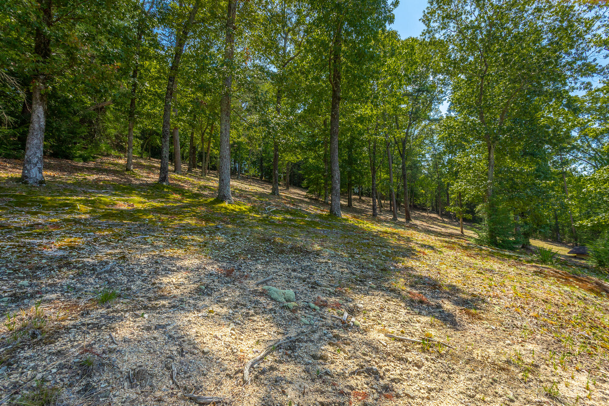 778 East Valley Road Jasper, TN 37347 - Photo 116 of 194 778 E Valley Rd. HD-115