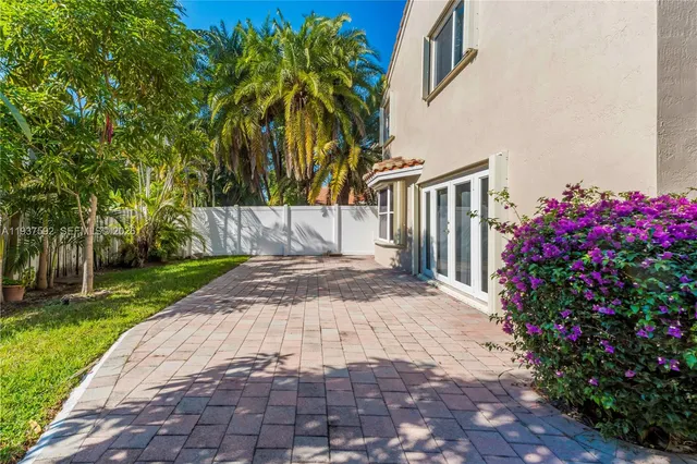 a view of backyard with potted plants and a large tree