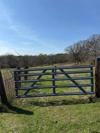 a view of a backyard with wooden fence