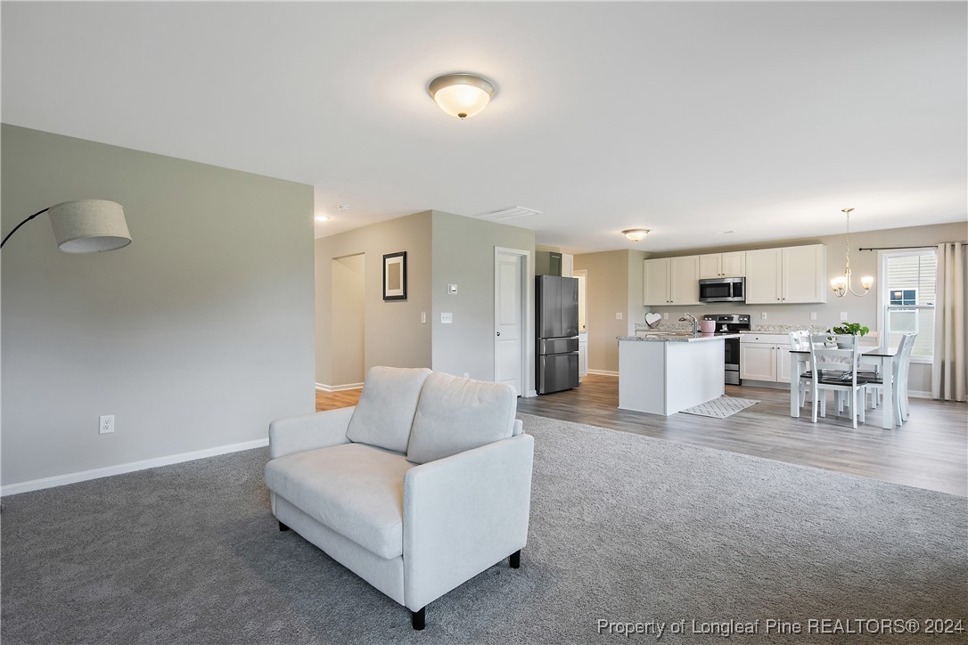 2359 Minnie Hall Road Autryville, NC 28318 - Photo 11 of 49 Gallery Image 11