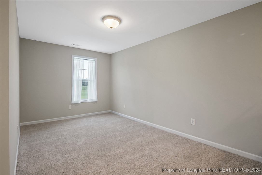 2359 Minnie Hall Road Autryville, NC 28318 - Photo 23 of 49 Gallery Image 23