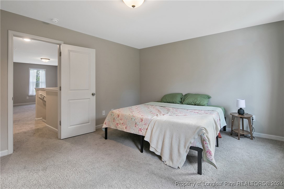 2359 Minnie Hall Road Autryville, NC 28318 - Photo 30 of 49 Gallery Image 30