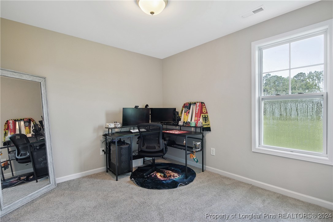 2359 Minnie Hall Road Autryville, NC 28318 - Photo 38 of 49 Gallery Image 38