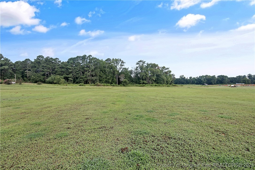 2359 Minnie Hall Road Autryville, NC 28318 - Photo 49 of 49 Gallery Image 49