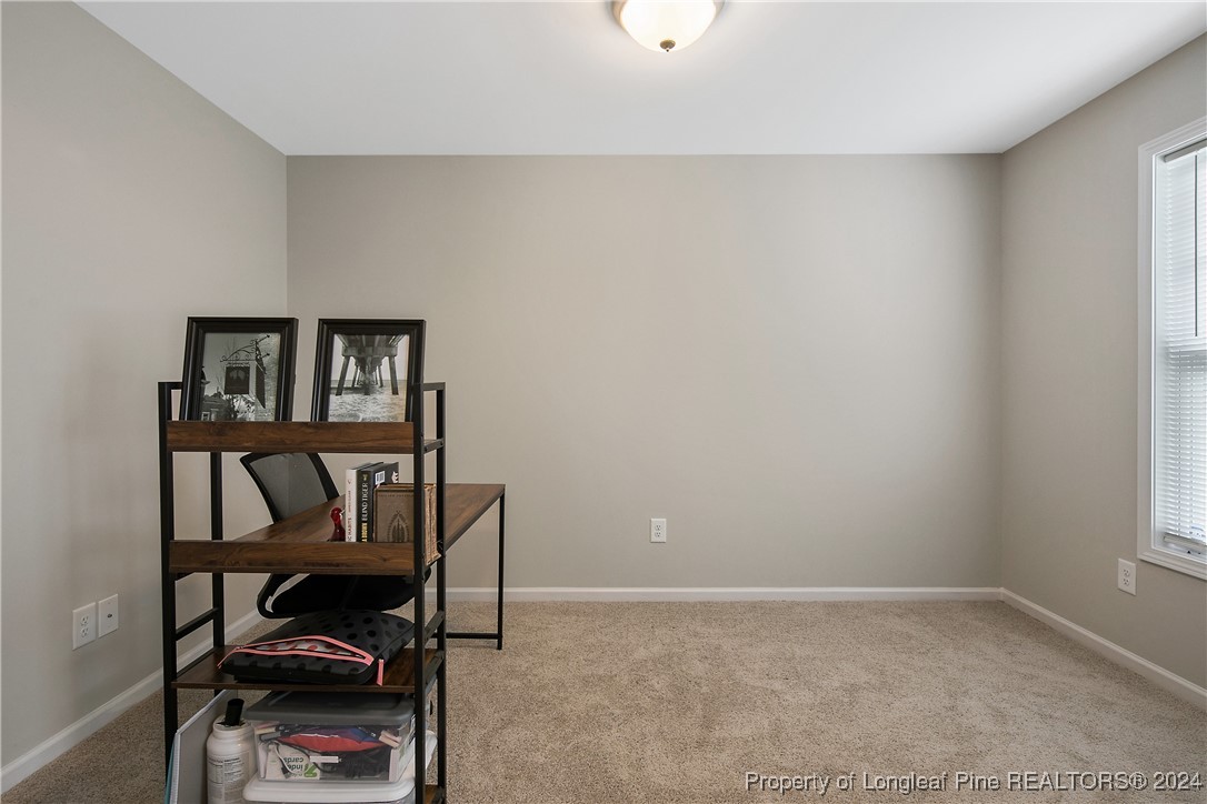 2359 Minnie Hall Road Autryville, NC 28318 - Photo 6 of 49 Gallery Image 6