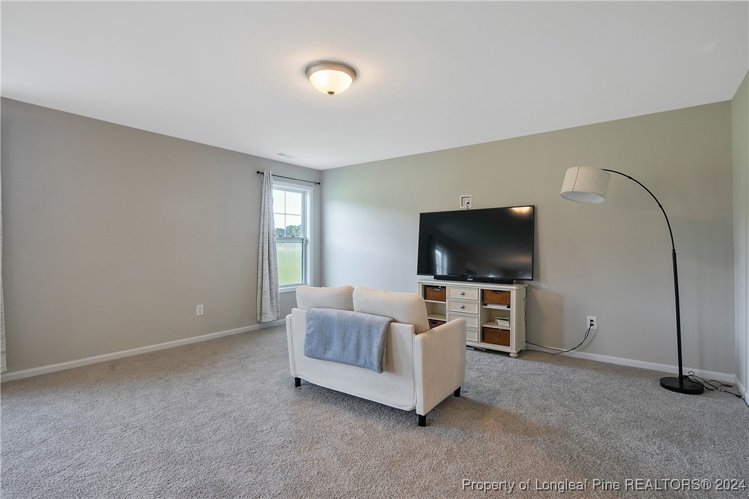 2359 Minnie Hall Road Autryville, NC 28318 - Photo 8 of 49 Gallery Image 8