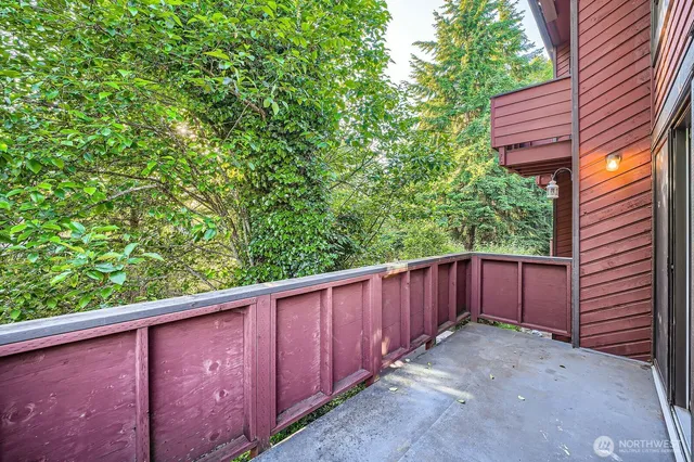 a view of a backyard with wooden fence and large trees