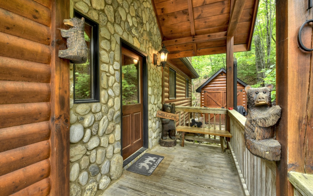 10 Oak Ridge Blue Ridge, GA 30513 - Photo 11 of 54 Additional View
