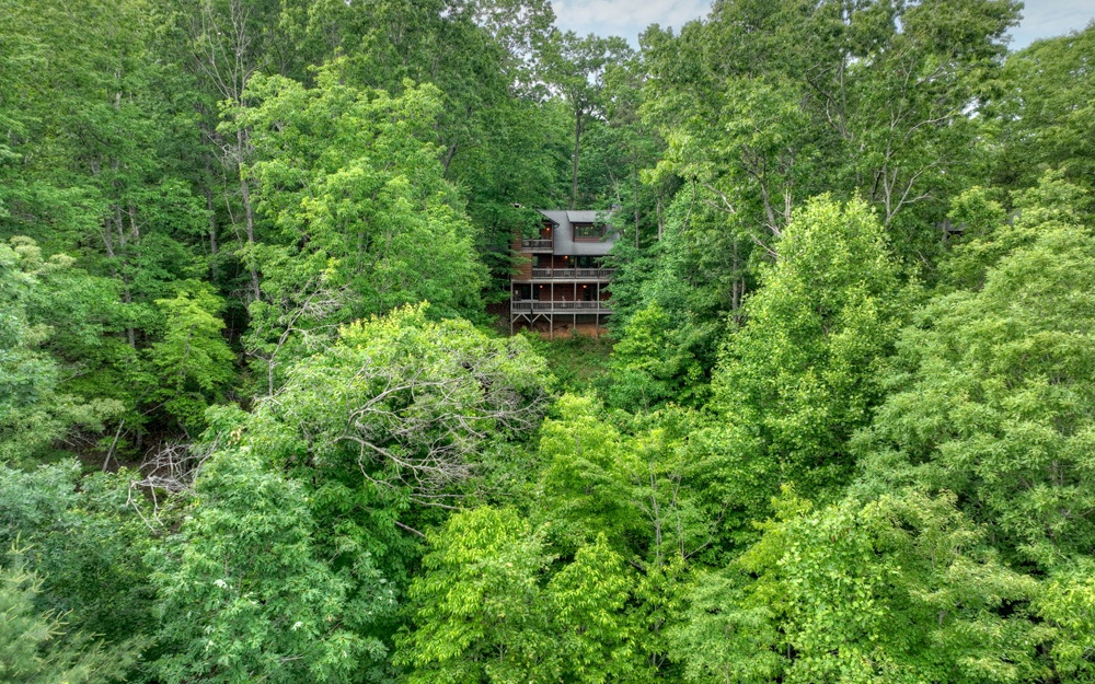 10 Oak Ridge Blue Ridge, GA 30513 - Photo 13 of 54 Additional View