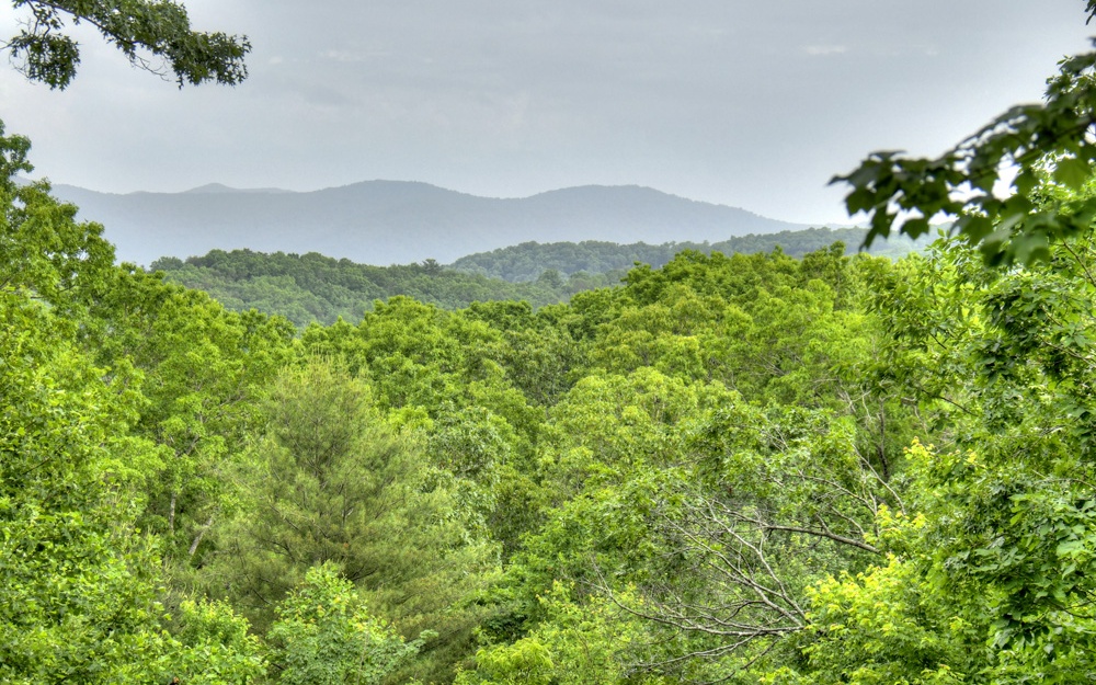 10 Oak Ridge Blue Ridge, GA 30513 - Photo 2 of 54 Additional View