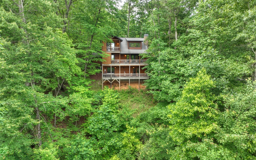 10 Oak Ridge Blue Ridge, GA 30513 - Photo 3 of 54 Additional View
