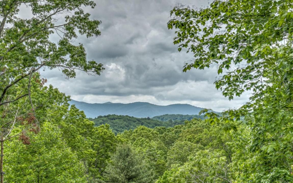 10 Oak Ridge Blue Ridge, GA 30513 - Photo 7 of 54 Additional View