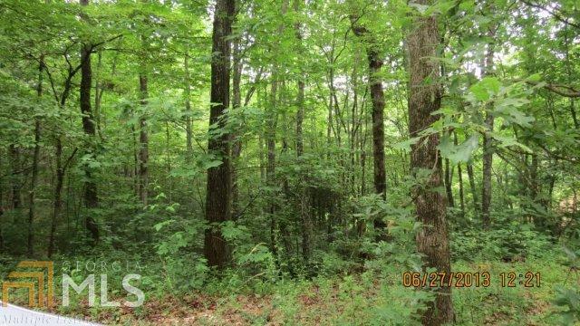 0 Chestnut Gap Lane Blue Ridge, GA 30513 - Photo 1 of 1 a view of a lush green forest