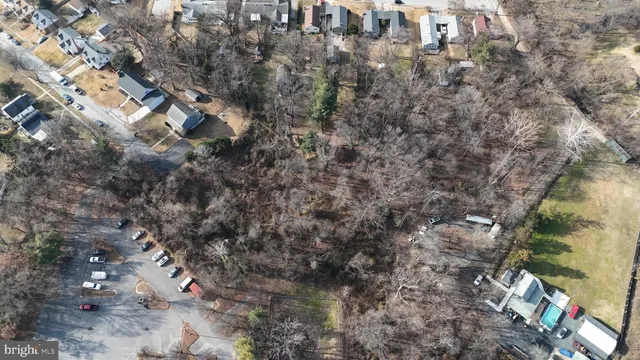 a close up of a tree
