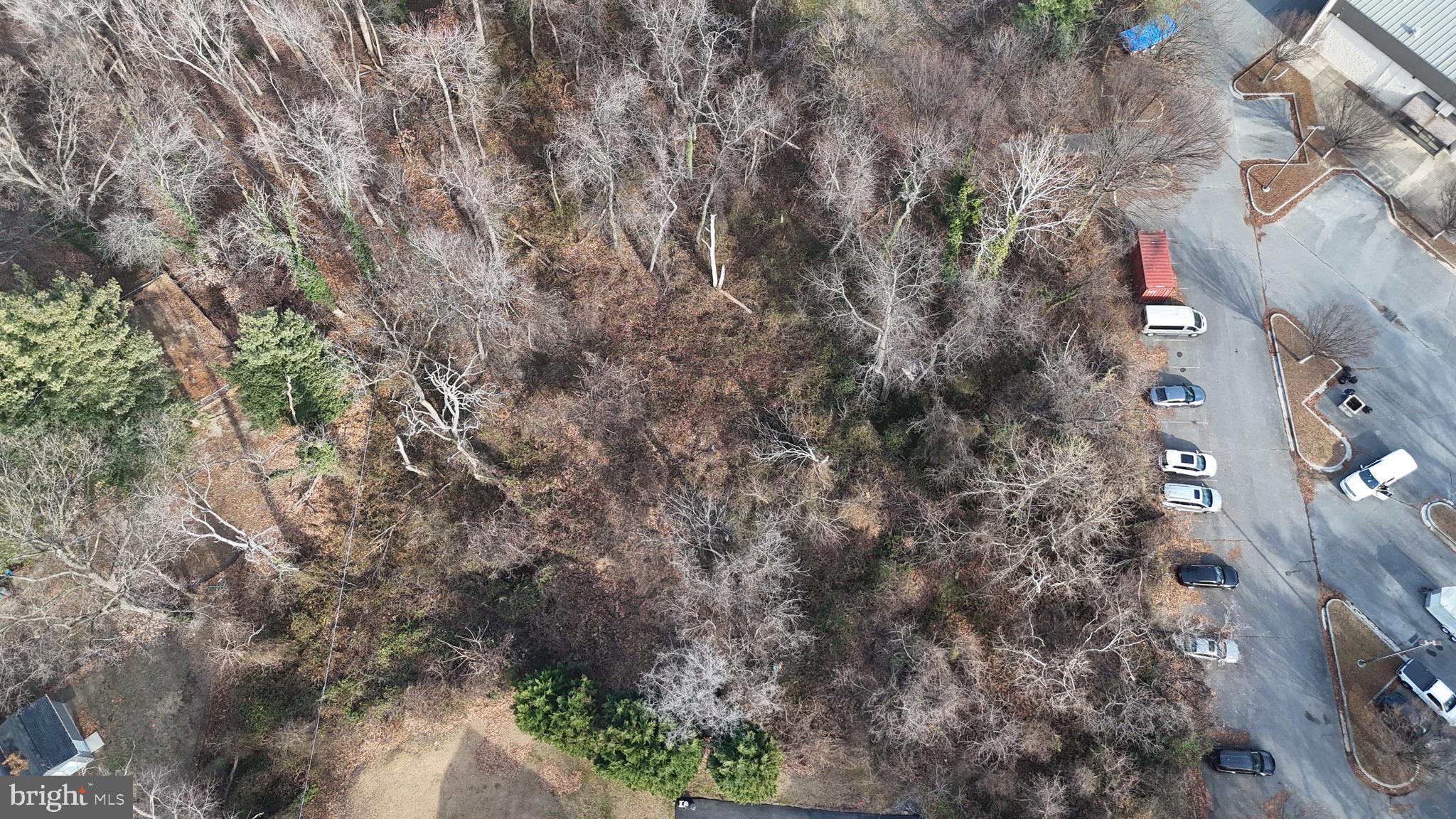 Dewitt Road Baltimore, MD 21227 - Photo 8 of 12 a view of a city with lush green forest