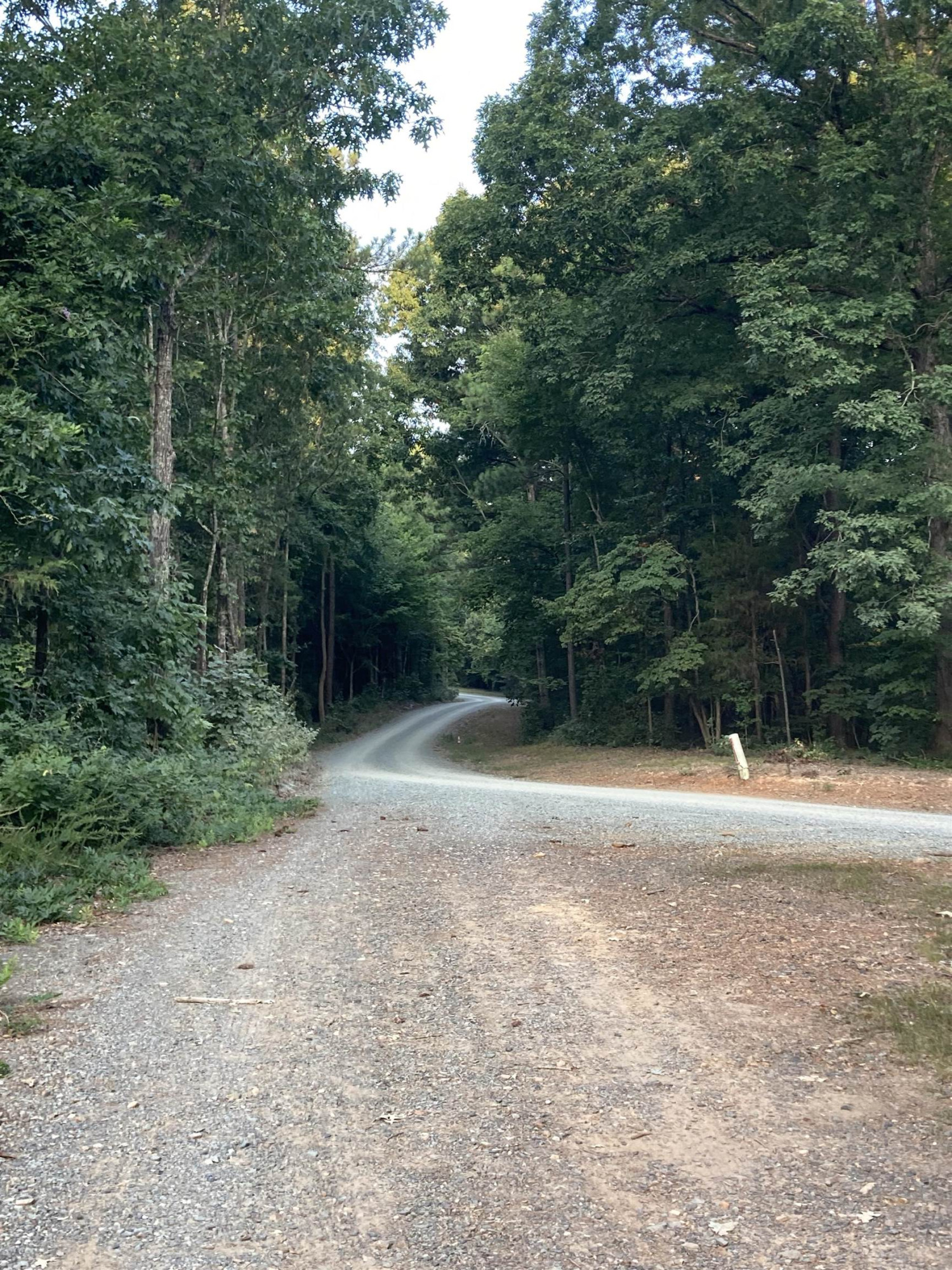 340 Carl Foushee Road Moncure, NC 27559 - Photo 4 of 8 Photo 4